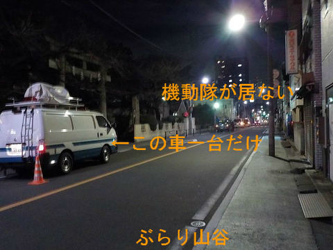 2015玉姫公園越冬闘争