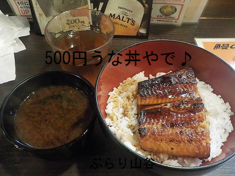 上野宇奈とと500円うな丼