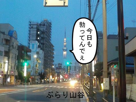 曇り空に見えるスカイツリーが好き