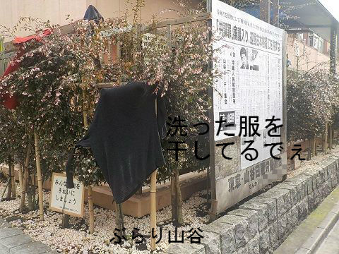山谷労働福祉センター建物の柵で洗濯ものを干している