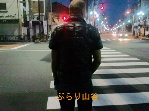 寒くても半袖な外人はアホなのか?