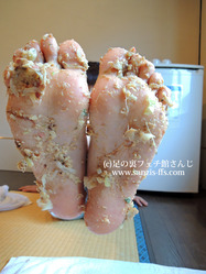 DSCN2597