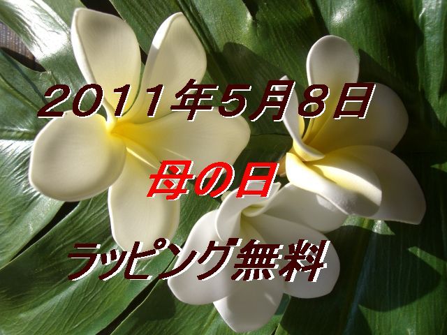 2011年母の日ハワイアンギフト