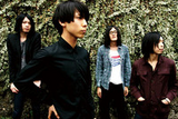 THE NOVEMBERS