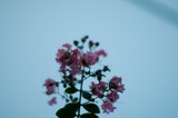 1a0615f1.jpg