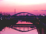 4f31a23f.jpg