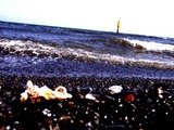 52b38489.jpg