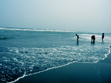 7f026138.jpg
