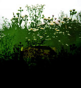 cd14e5e5.jpg