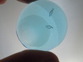 DSCN6120
