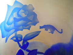 DSCN3080