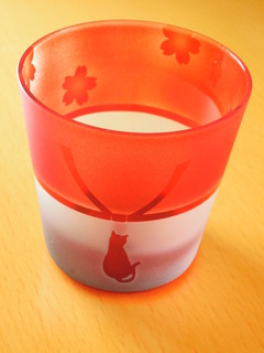 DSCN3078