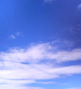 9712224b.jpg