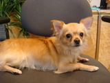 20090227 002