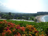 P1010220
