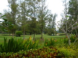 P1020463
