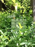 半僧坊