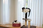 2人