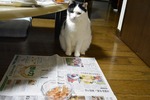 ひだか8歳