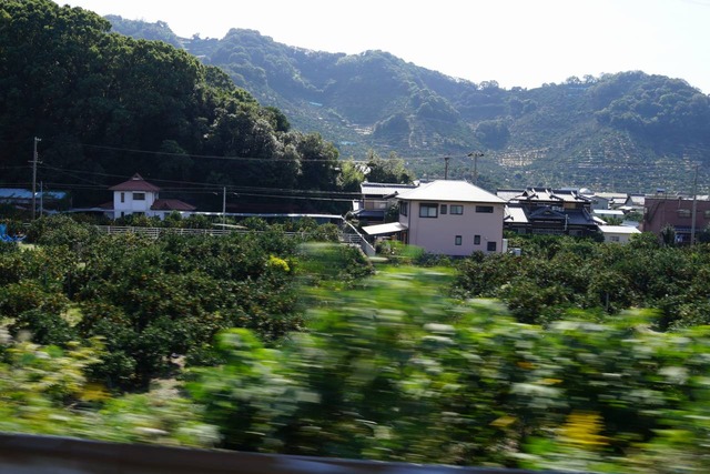 DSC04967