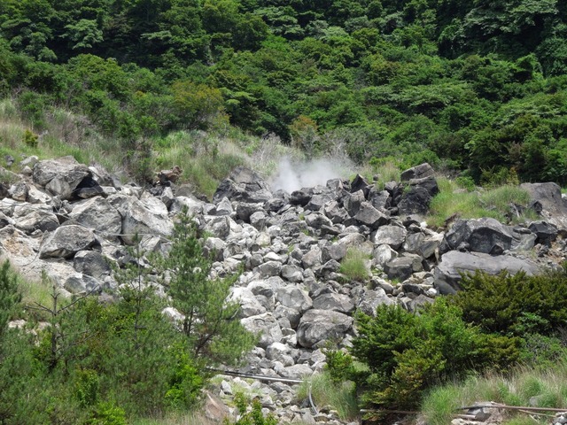 DSCN0469