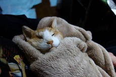 DSC04650