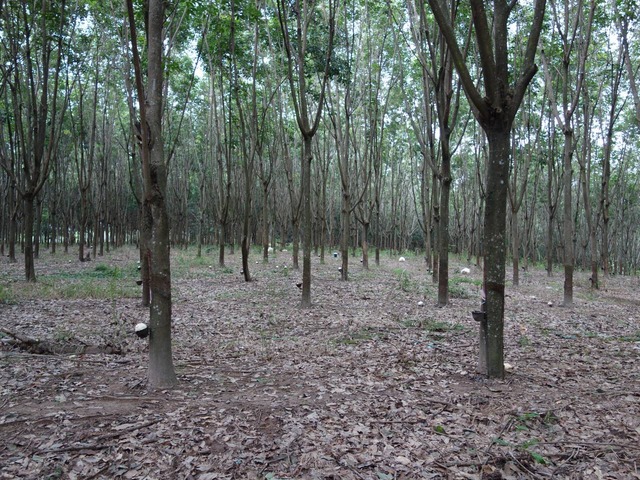 DSC05927
