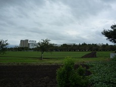 P1010738
