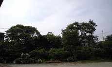 401f1ae6.jpg