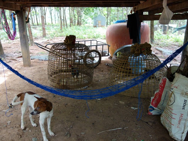 DSC05960