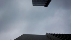 4fc31f71.jpg