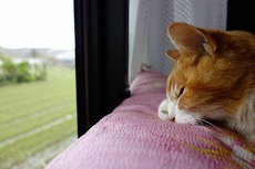 DSC04468
