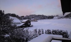 CA393871