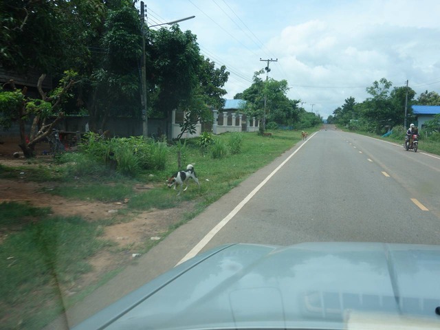 DSC05884
