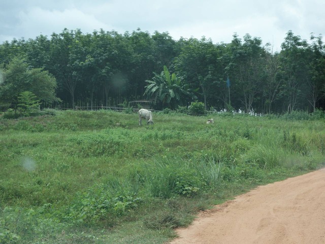 DSC05904