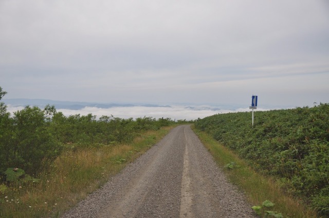 DSC_8755