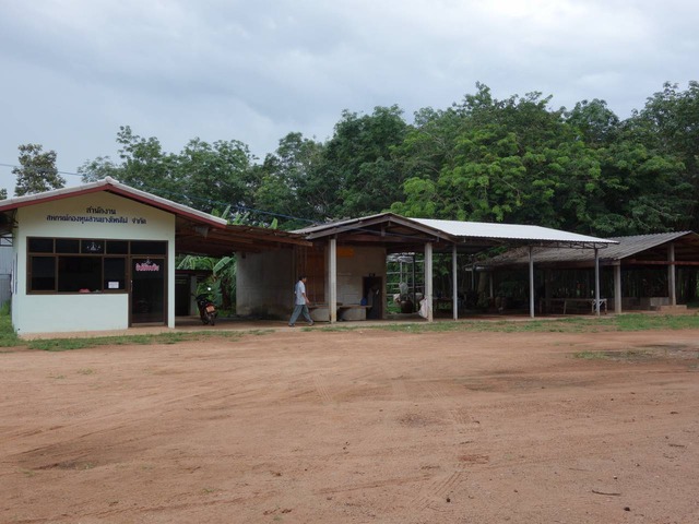 DSC05811