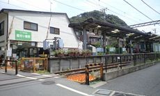 CA394513