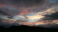 DSC_1077