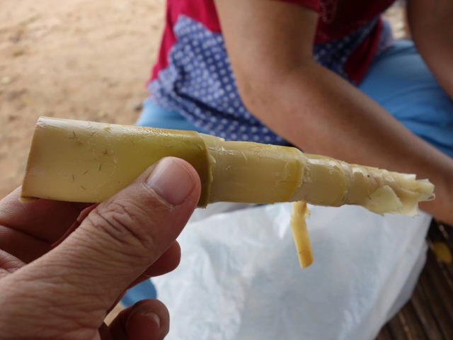 DSC06009