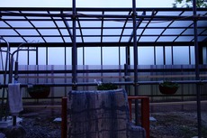 DSC04742