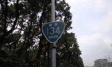 CA394516