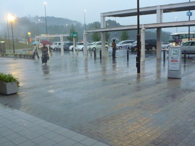 P1040528