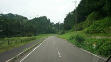c6e453b6.jpg