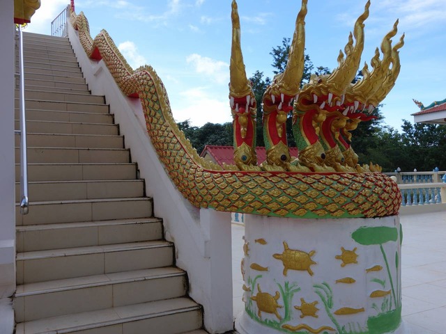 DSC06074
