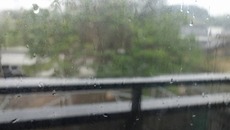 DSC00788