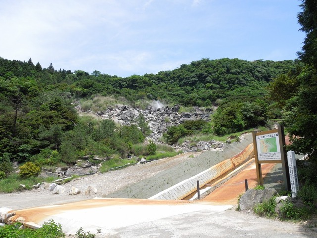 DSCN0470