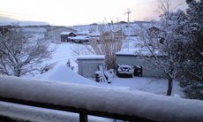 CA393870