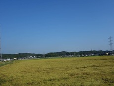 DSC07183