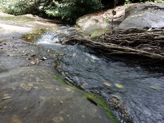DSC05974